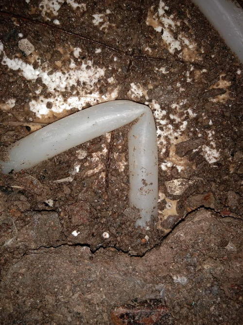 芷江堵点精准查找